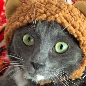 Meet your Posher, Maddy